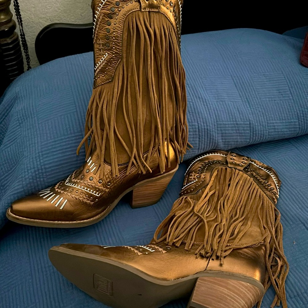 Nwot Dingo boots